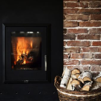 wood burning stove and logs