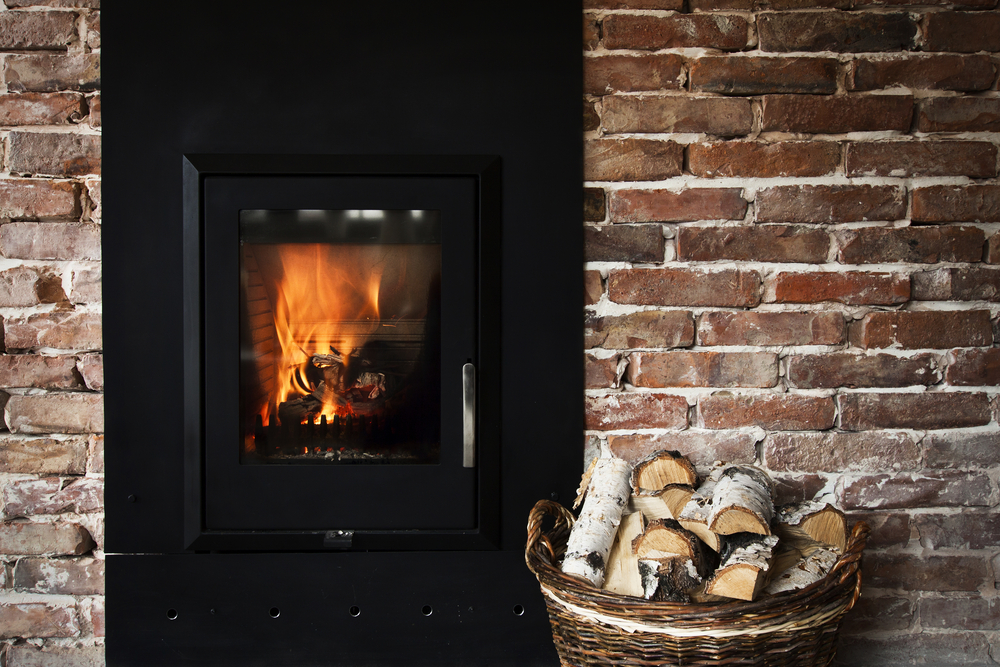 wood burning stove and logs